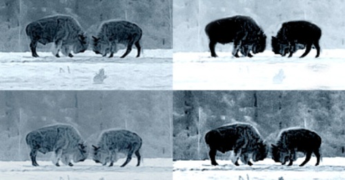 Оригинальные методы цифровой обработки изображения Оригинальные методы цифровой обработки изображения