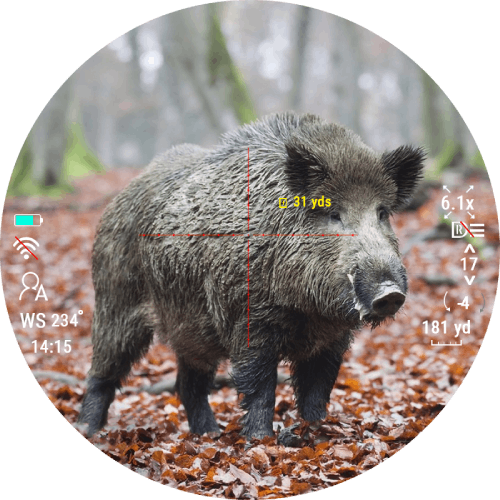 Оптика, созданная для дальних дистанций Оптика, созданная для дальних дистанций