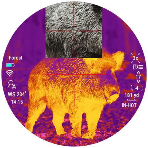 Сенсор 480х360 - когда детали решают все Сенсор - когда детали решают все