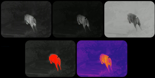 Идентификация в любых условиях - 5 цветовых палитр Идентификация в любых условиях - 5 цветовых палитр