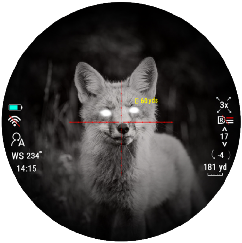 Сверхчистый круглый дисплей Сверхчистый круглый дисплей