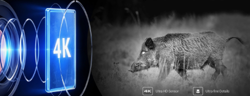 4K-изображение для точной идентификации 4K-изображение для точной идентификации