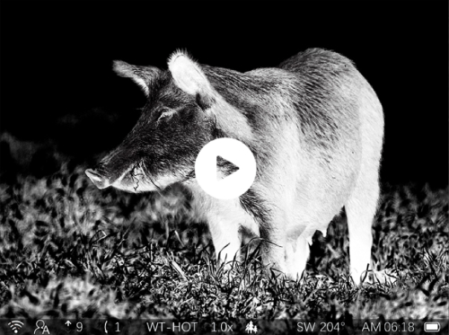 Умная запись охота, которую приятно пересматривать