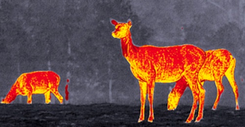 Высококачественная асферическая оптика Высококачественная асферическая оптика