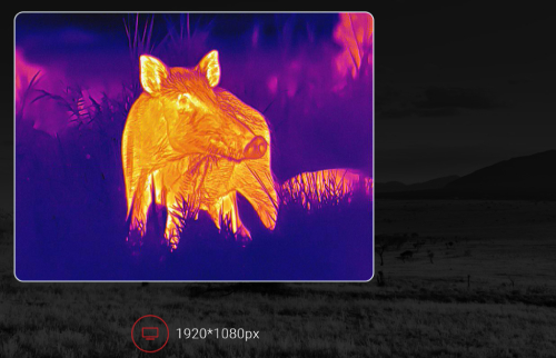 AMOLED 1920х1080 - максимум комфорта при наблюдении