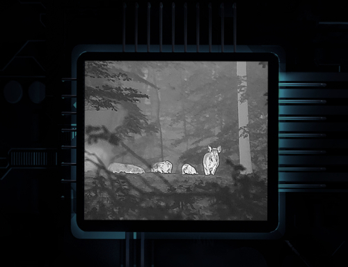 Яркий OLED-дисплей