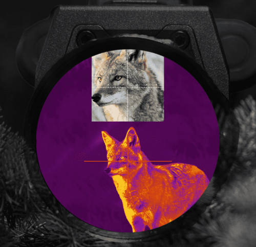 Мультиспектральное превосходство: видите то, что другим недоступно Мультиспектральное превосходство: видите то, что другим недоступно