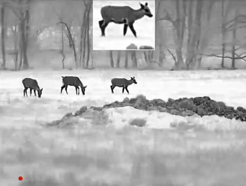 Режим "Картинка в картинке" – увеличьте цель, сохраняя обзор