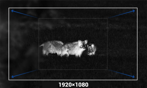 Четкая картинка без компромиссов - Full HD OLED-дисплей