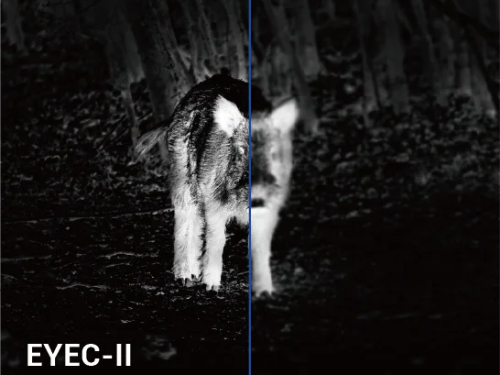 Умная обработка изображения EYEC-II — больше деталей, больше контроля