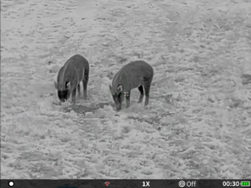 Яркий AMOLED-дисплей - комфорт для глаз в любую ночь