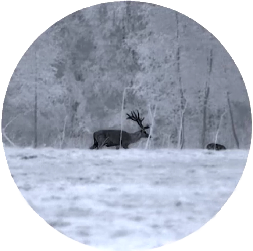 Программная система калибровки сенсора - без затвора Программная система калибровки сенсора - без затвора