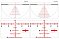 Прицел Kahles K525i DLR CCW 5-25x56 SKMR4 LSW (10677)